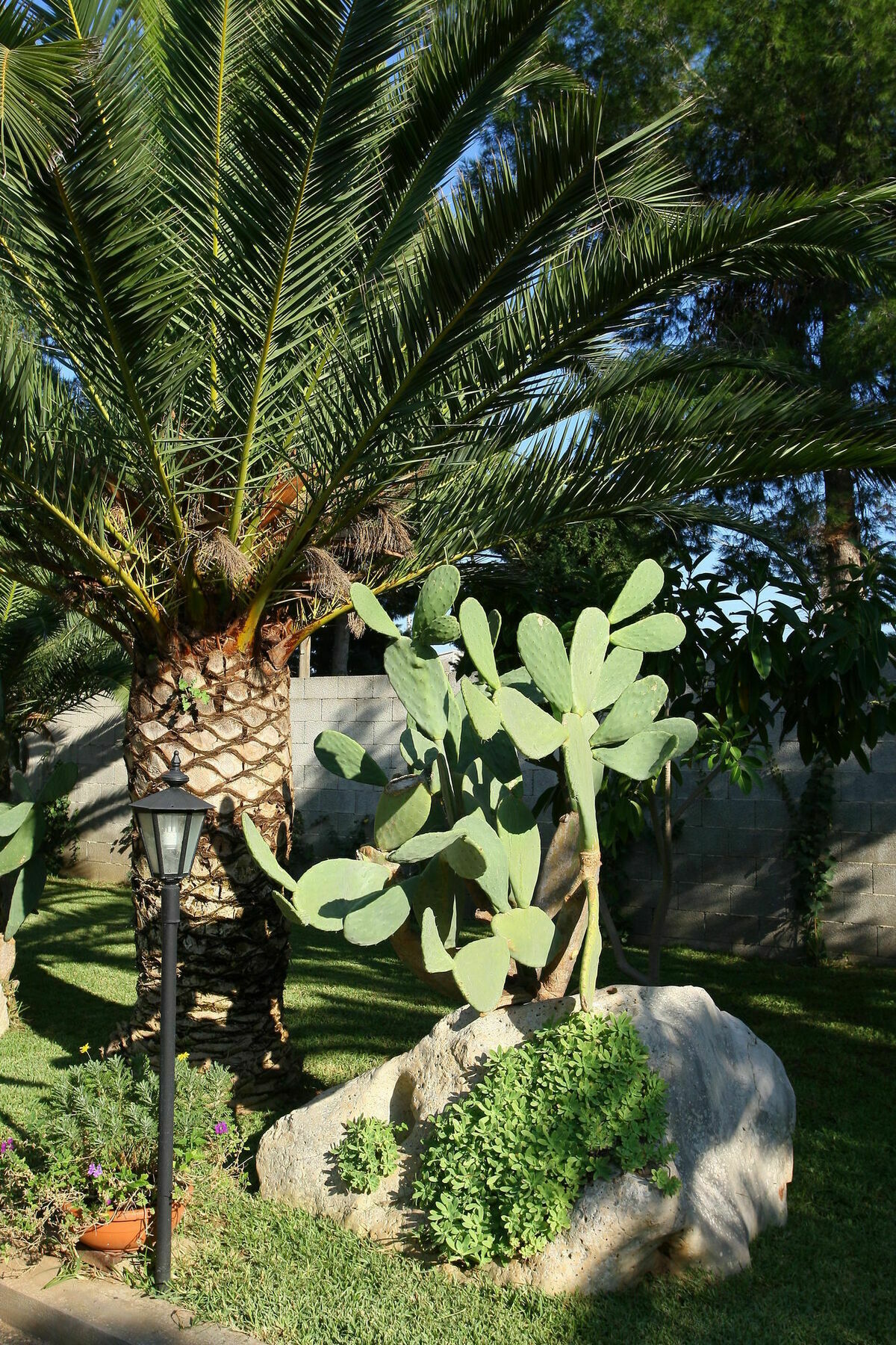 Lecce Guesthouse 外观 照片