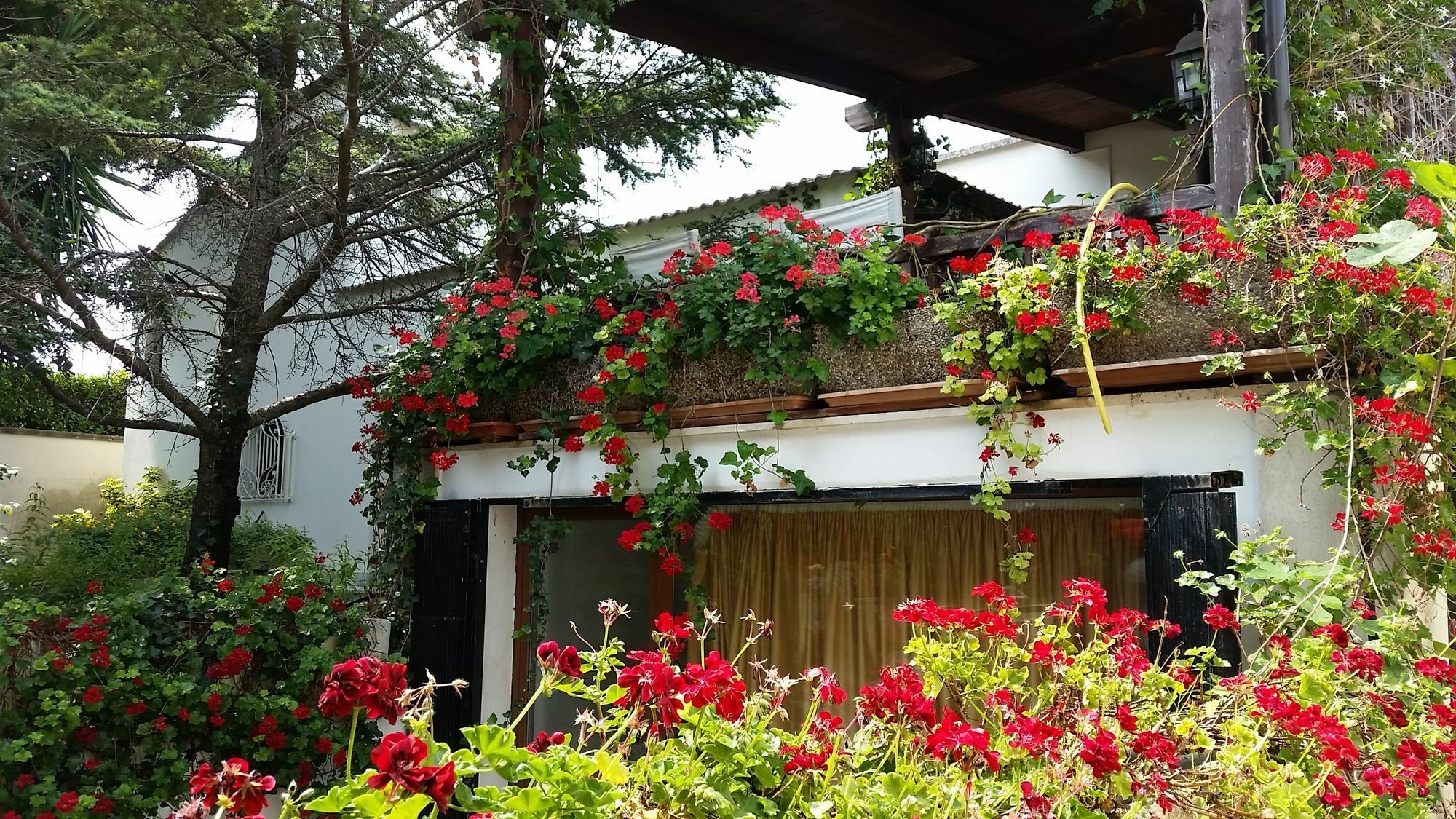 Lecce Guesthouse 外观 照片